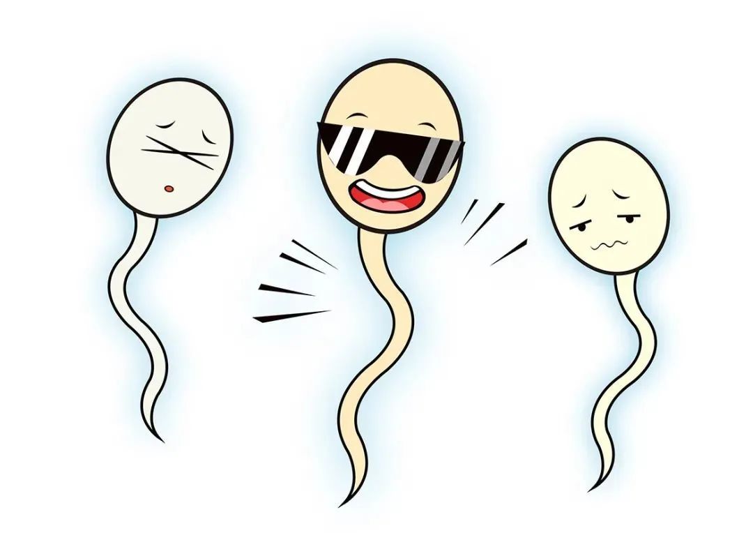 试管前期检查有问题还能进周期吗,试管婴儿进周了还要做什么检查吗