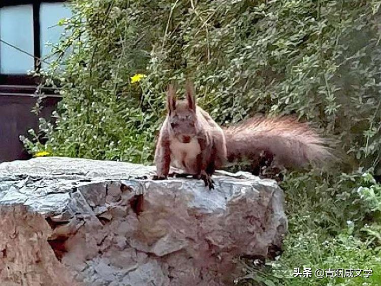 鏆槬闂叉儏璇楀彞,鏆槬鎯呰瘲