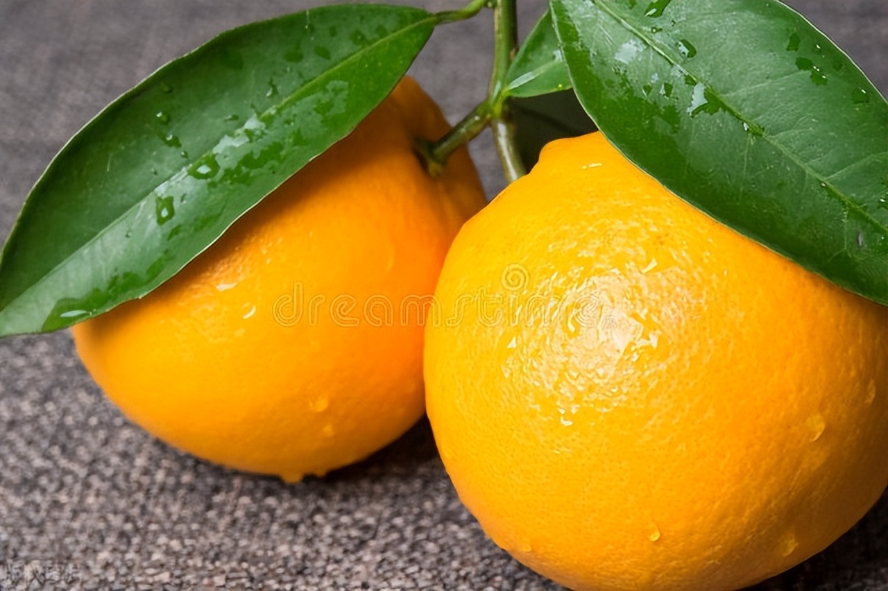 减少患癌的几率,如何降低恶性肿瘤发病率