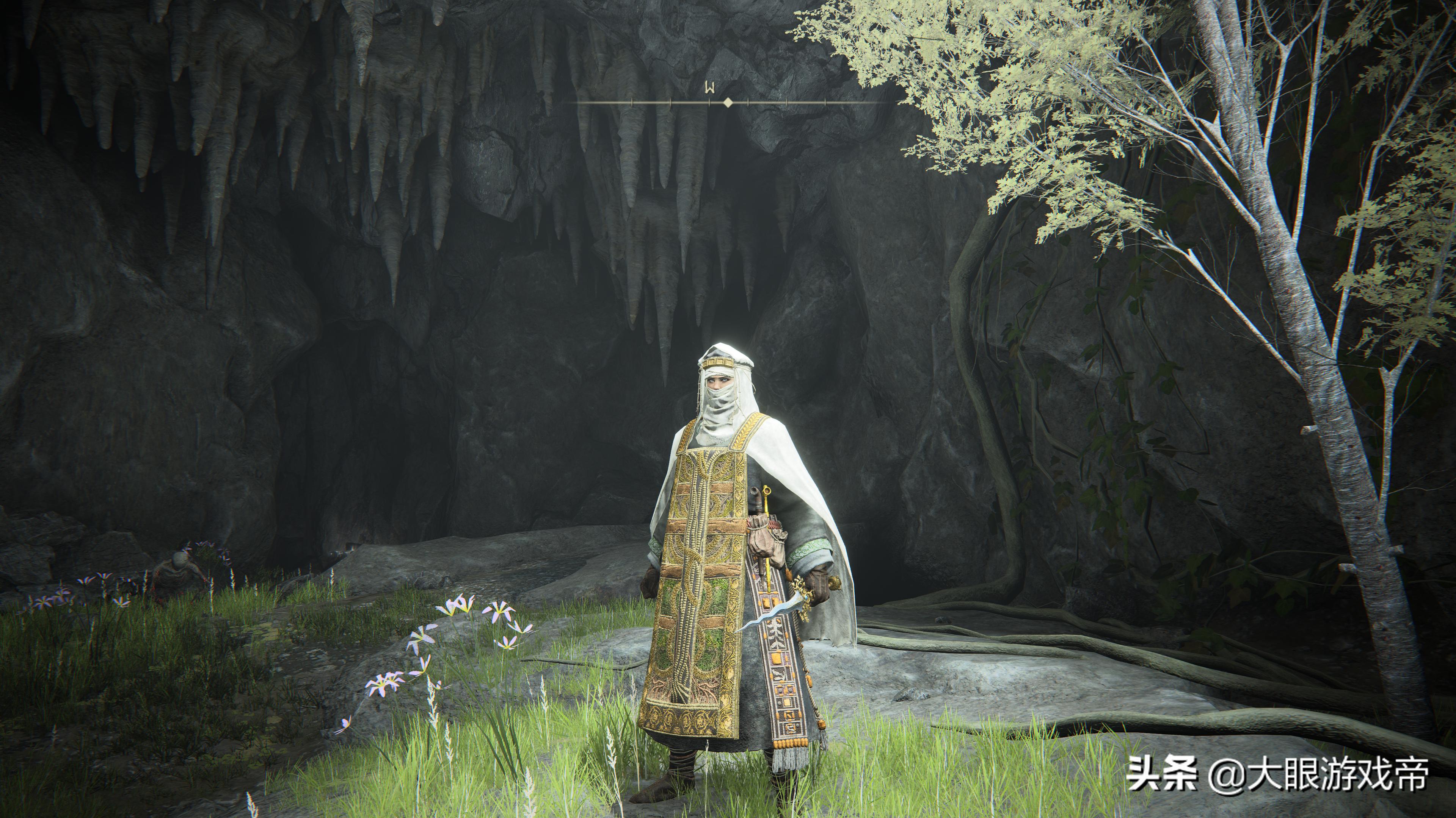 艾尔登法环特大剑图鉴,艾尔登法环套装图鉴