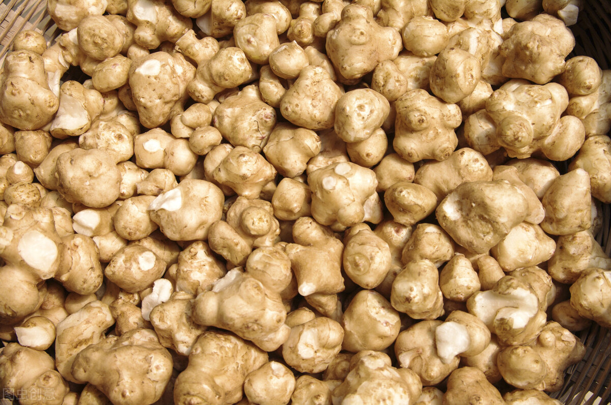 每年花亿元难以清理，洋姜入侵国外泛滥，为啥中国却大量种植？