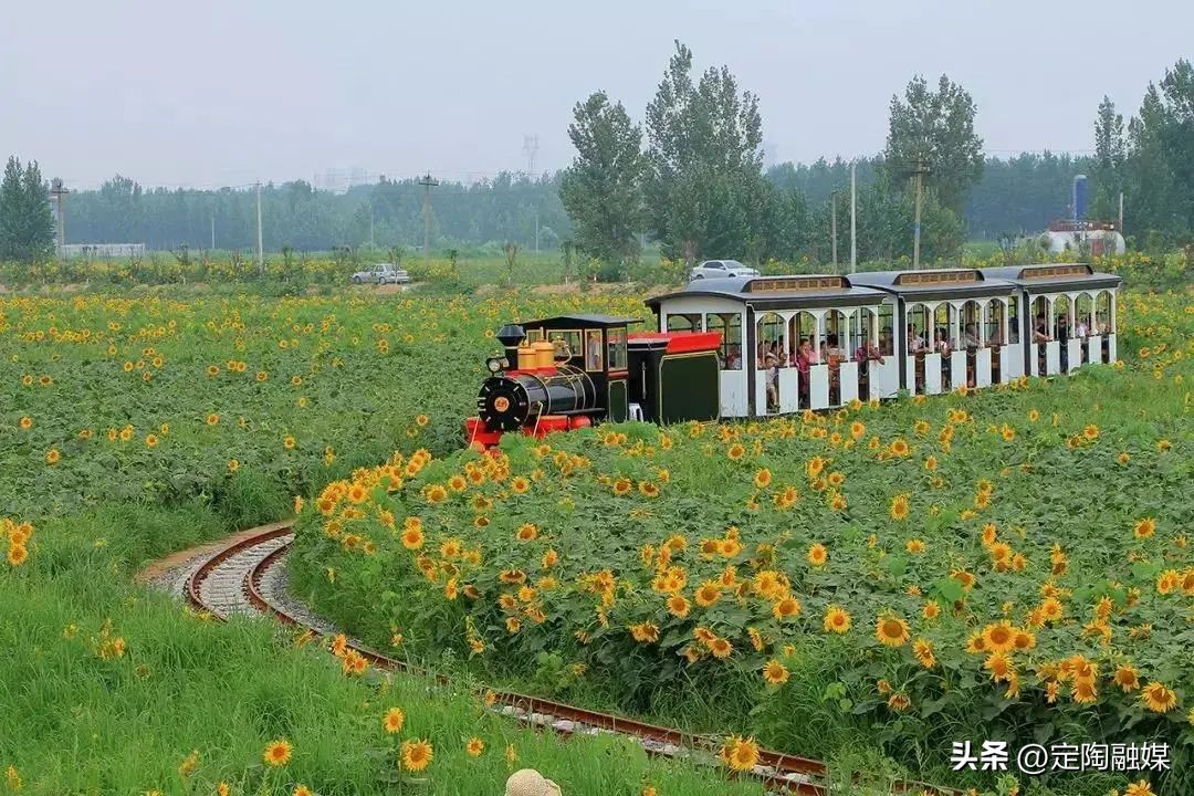 赏美景观非遗,赏美景尝美食