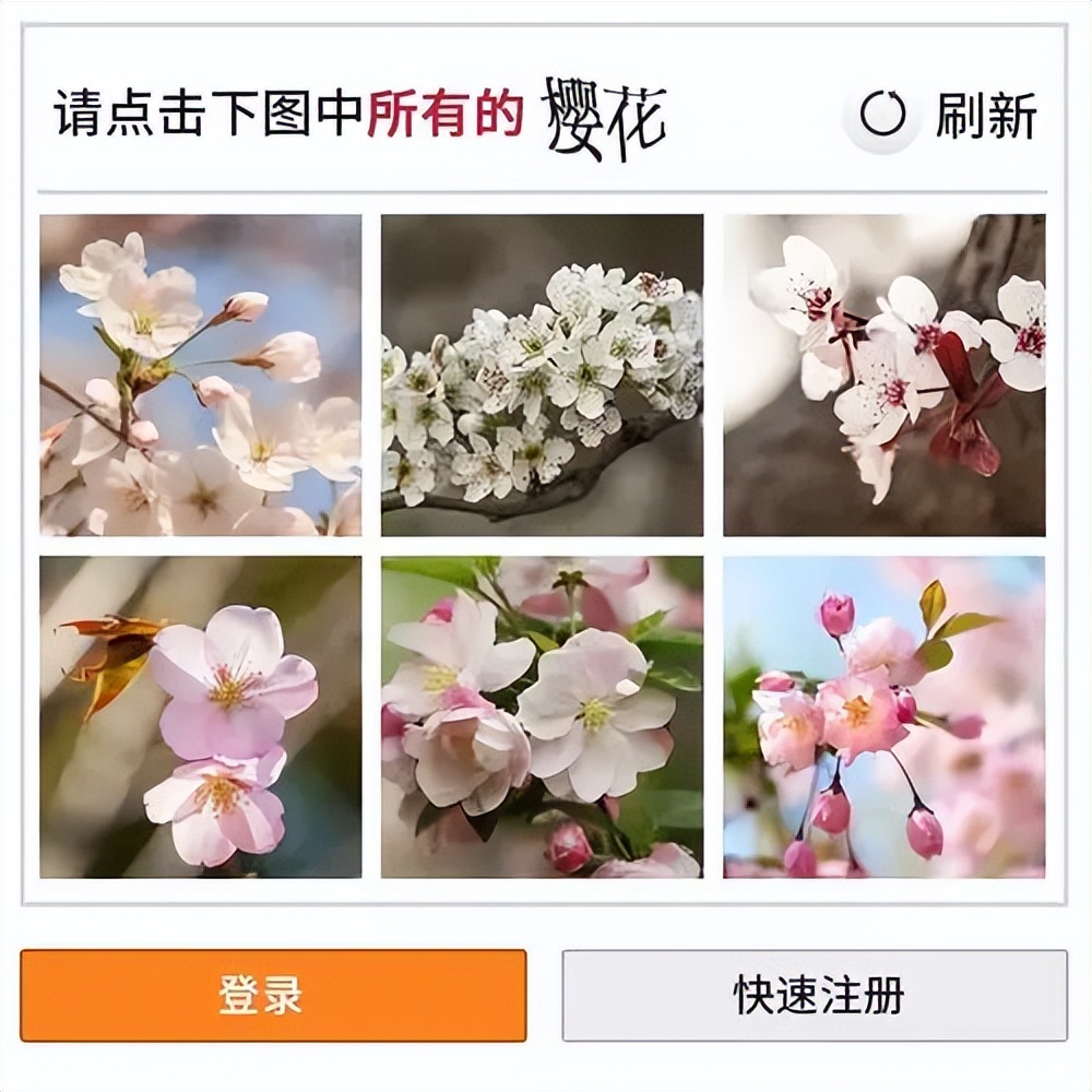 让人抓狂的验证码是什么,史上最变态验证码