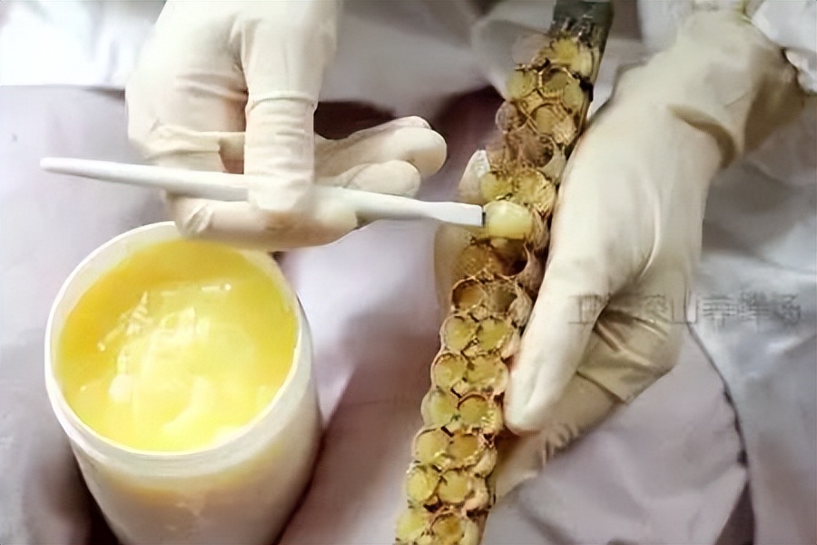 蜂王浆,蜂王浆价格一斤多少钱