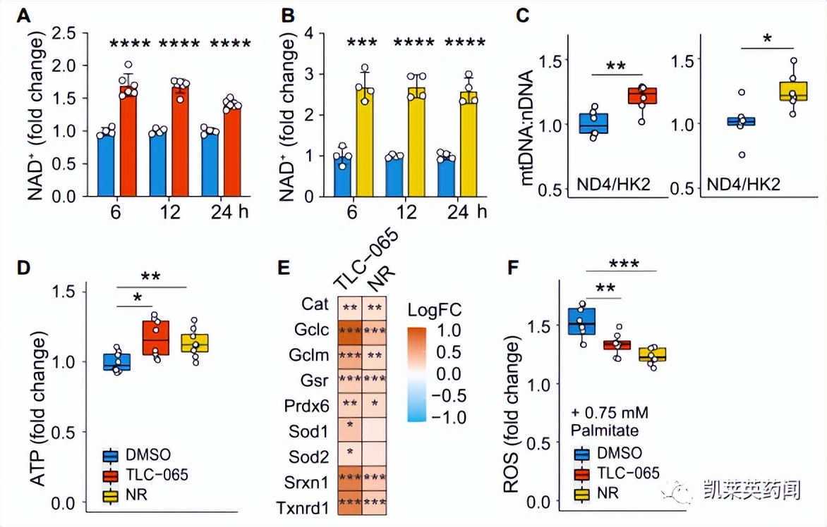 一天内收购一家上市公司,一天内收购一家上市企业