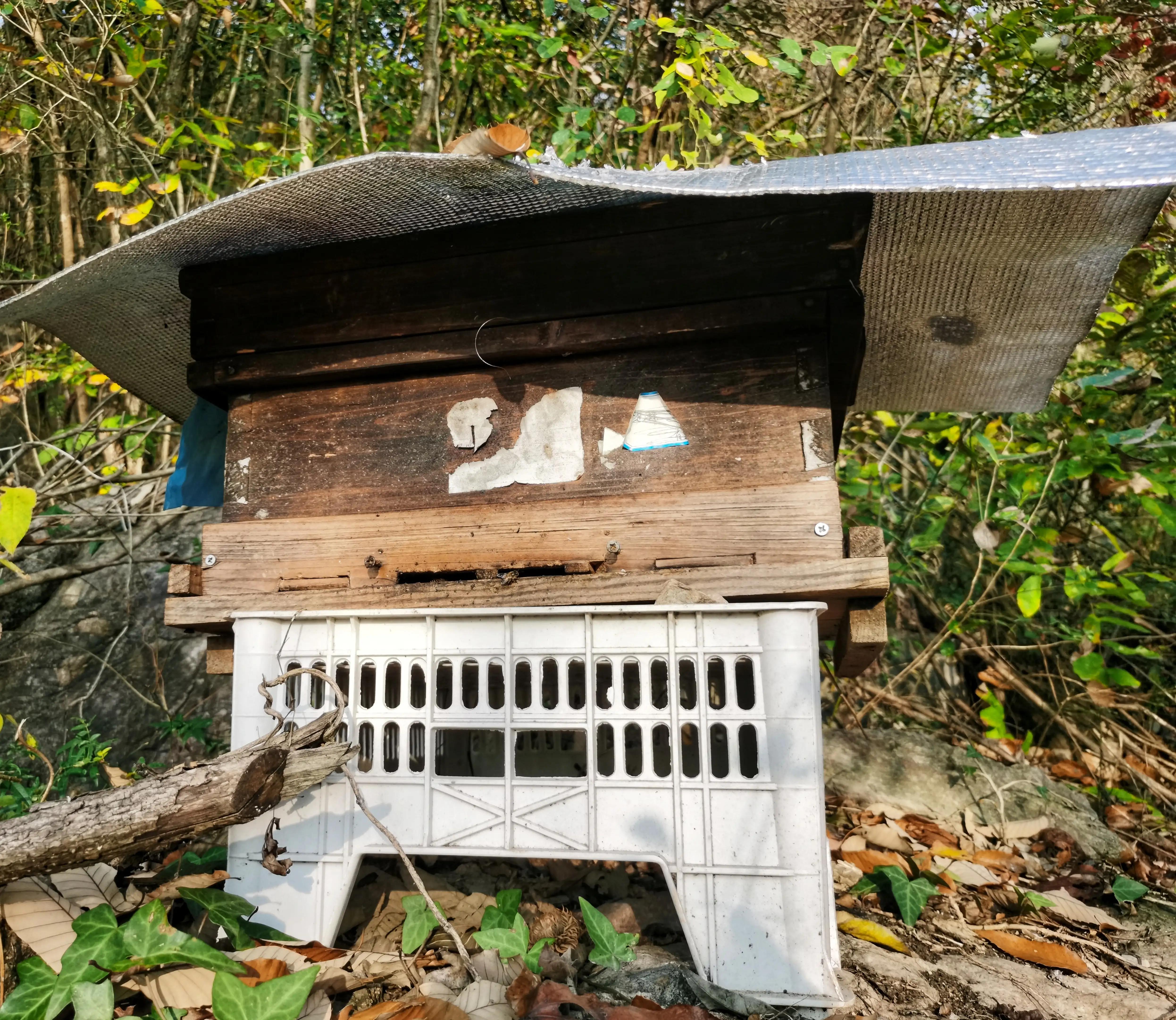 蜜蜂嗡嗡*花采**忙秋风送爽带蜜香，甜蜜事业甜蜜歌，蜜蜂酿蜜乐山乡