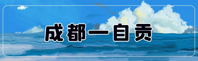 成都5小时高铁可以到哪些地方,成都出发高铁动车直达