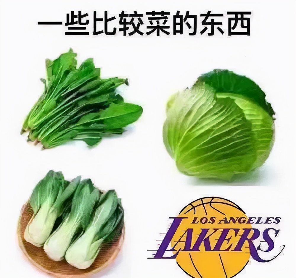 逗妹吐槽视频,逗妹吐槽新浪体育