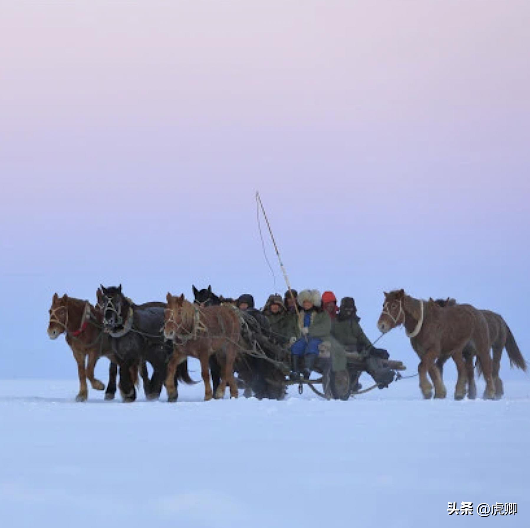 历史以来查干湖头鱼最高价,十大天价鱼