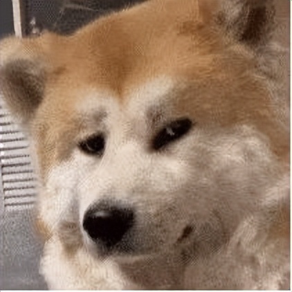 贩剑表情包评论区,贩剑表情包不回消息