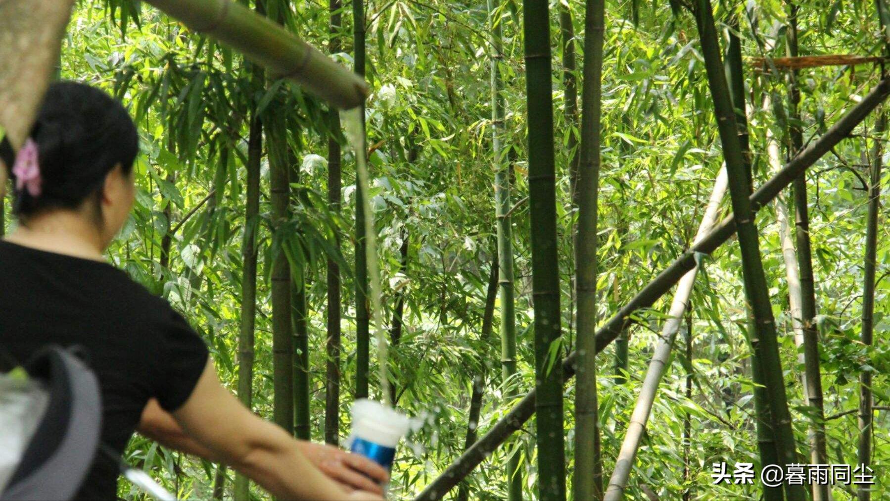 荒野过滤水的简单方法,在野外如何快速寻找水源