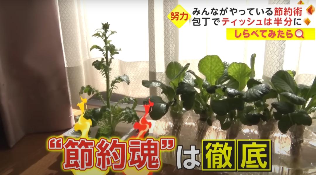 日本人穷成这样？早饭只吃蛋*粉白**、纸巾切一半用，为省电散步取暖