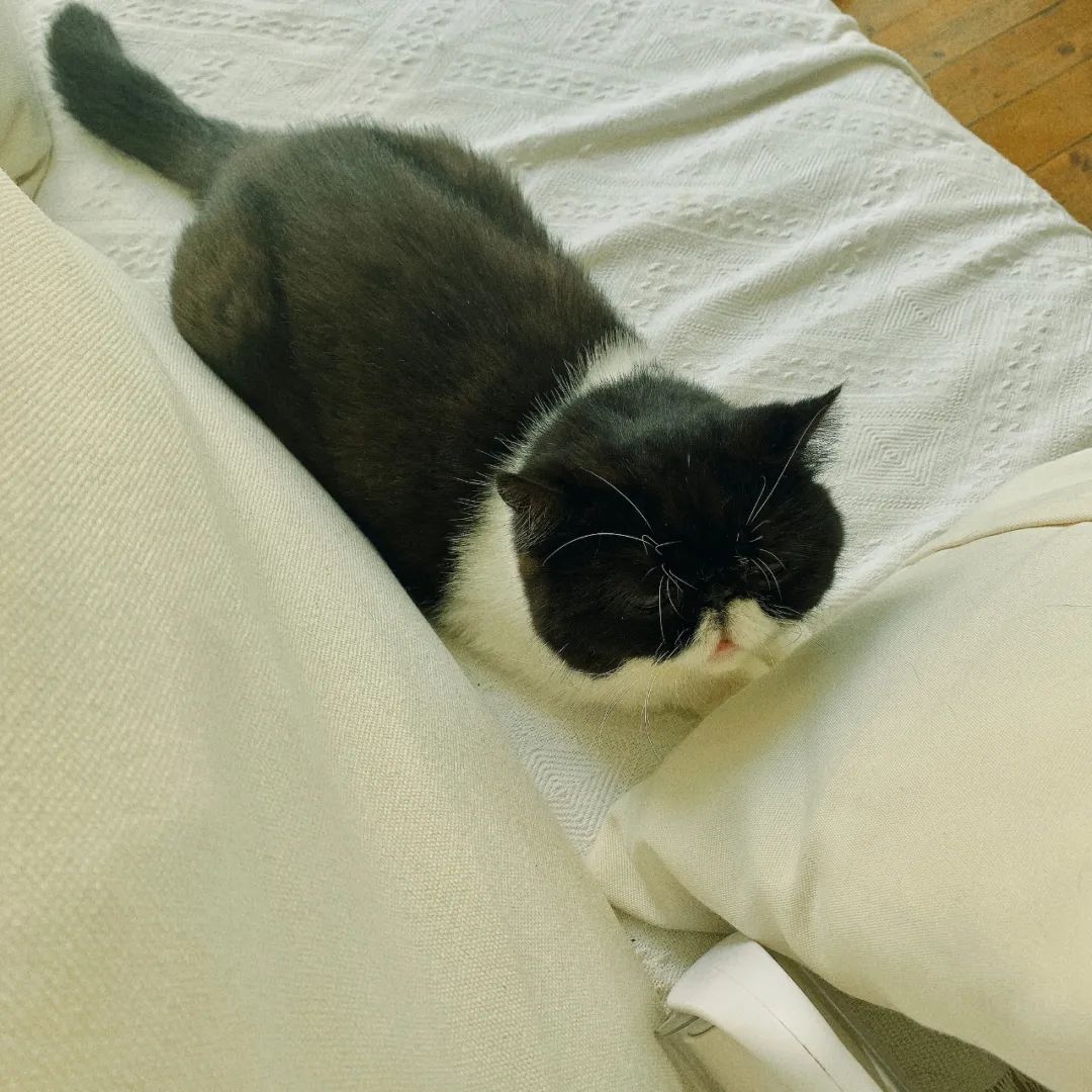 朱家角古镇一日游最佳攻略,朱家角什么好吃