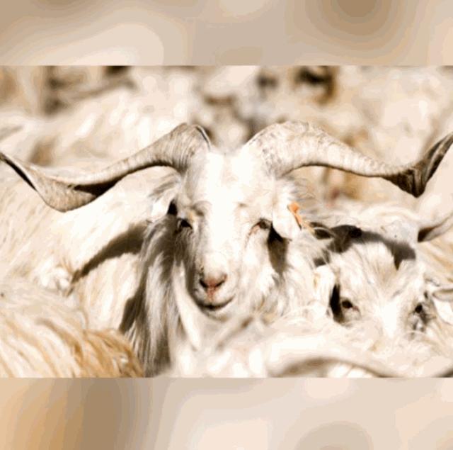 我国海拔最高的输变电工程,世界海拔最高的输变电工程