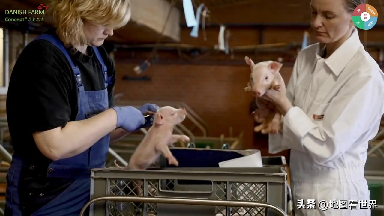 丹麦是怎样的一个国家,丹麦是个什么样的国家