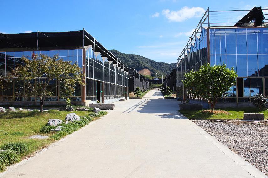 卖兰花一年收入,卖兰花卖得最好的一个月赚多少钱