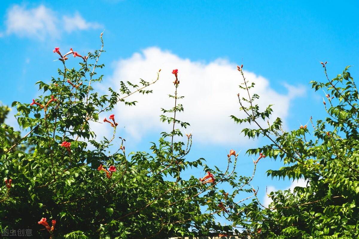 皮肤变好的习惯男生,皮肤变好的习惯