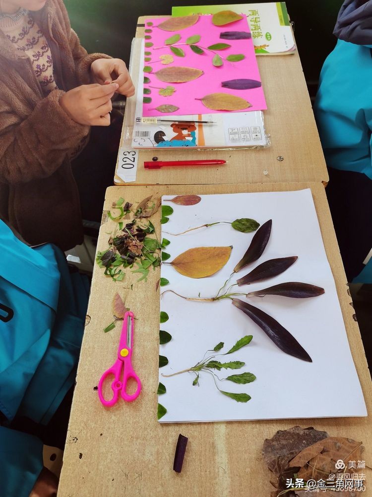 临猗庙上初中推进并践行植物标本课程