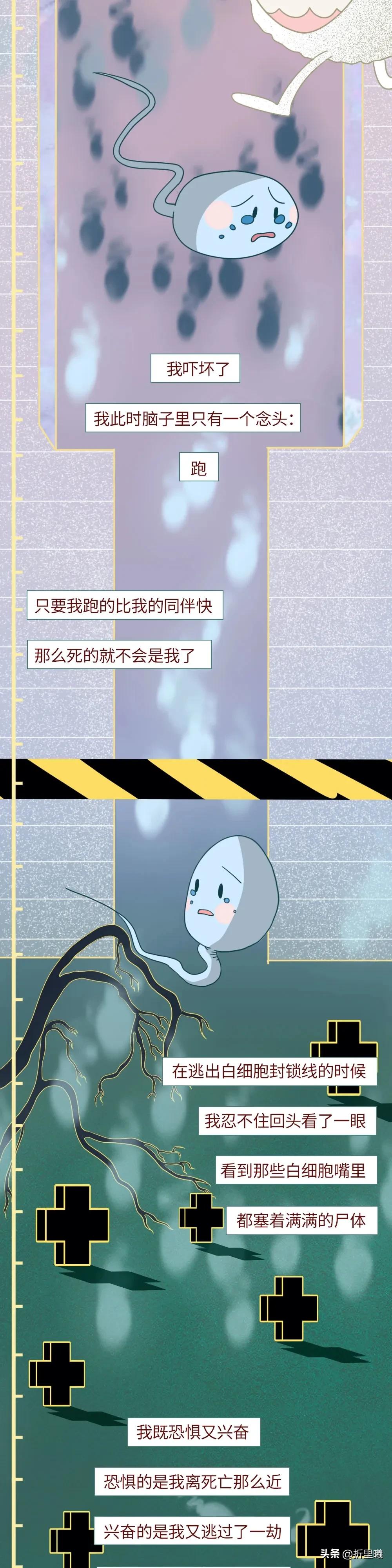 精子进入女生体内的24小时全过程曝光！