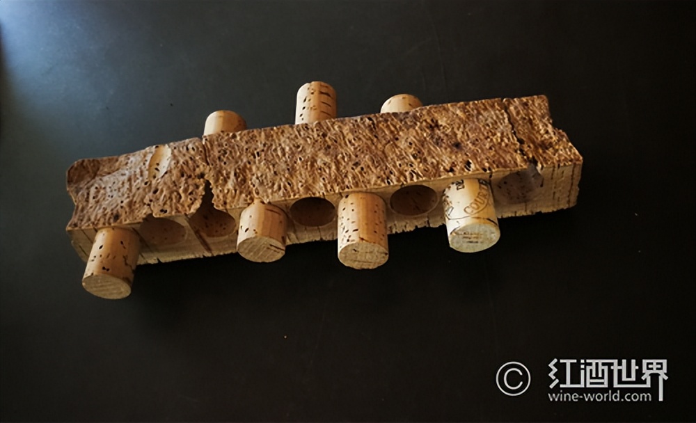 传统与创新的碰撞融合,传统与新潮的碰撞美食