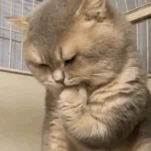 宝宝吃药吐了需要重新吃吗,宝宝吃药吐掉了有药效吗