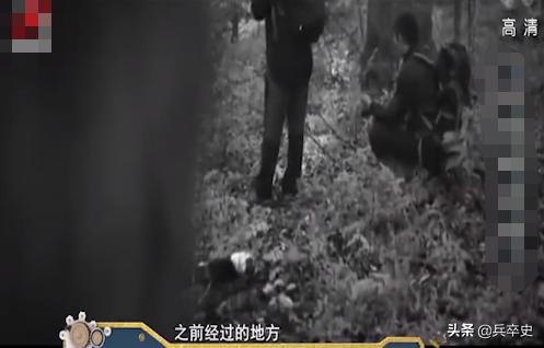 野猪林诡异事件,野猪林神秘事件