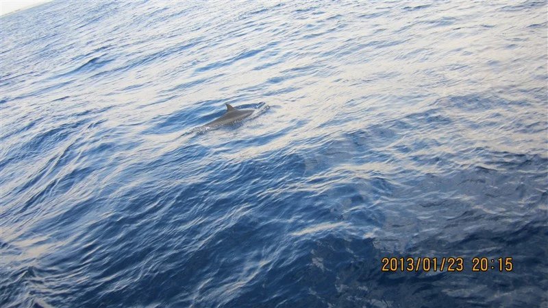 马尔代夫蜜月免费项目,蜜月旅游去马尔代夫哪个岛屿最好