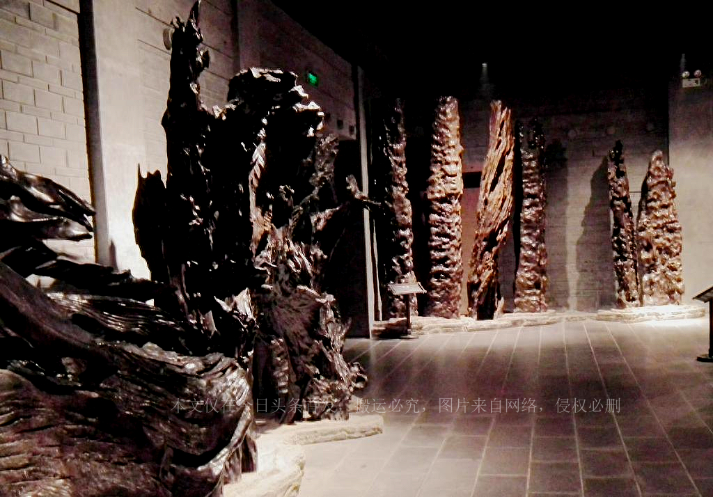 被埋超3000年40米阴沉木现身四川一工地，阴沉木为啥如此稀有？