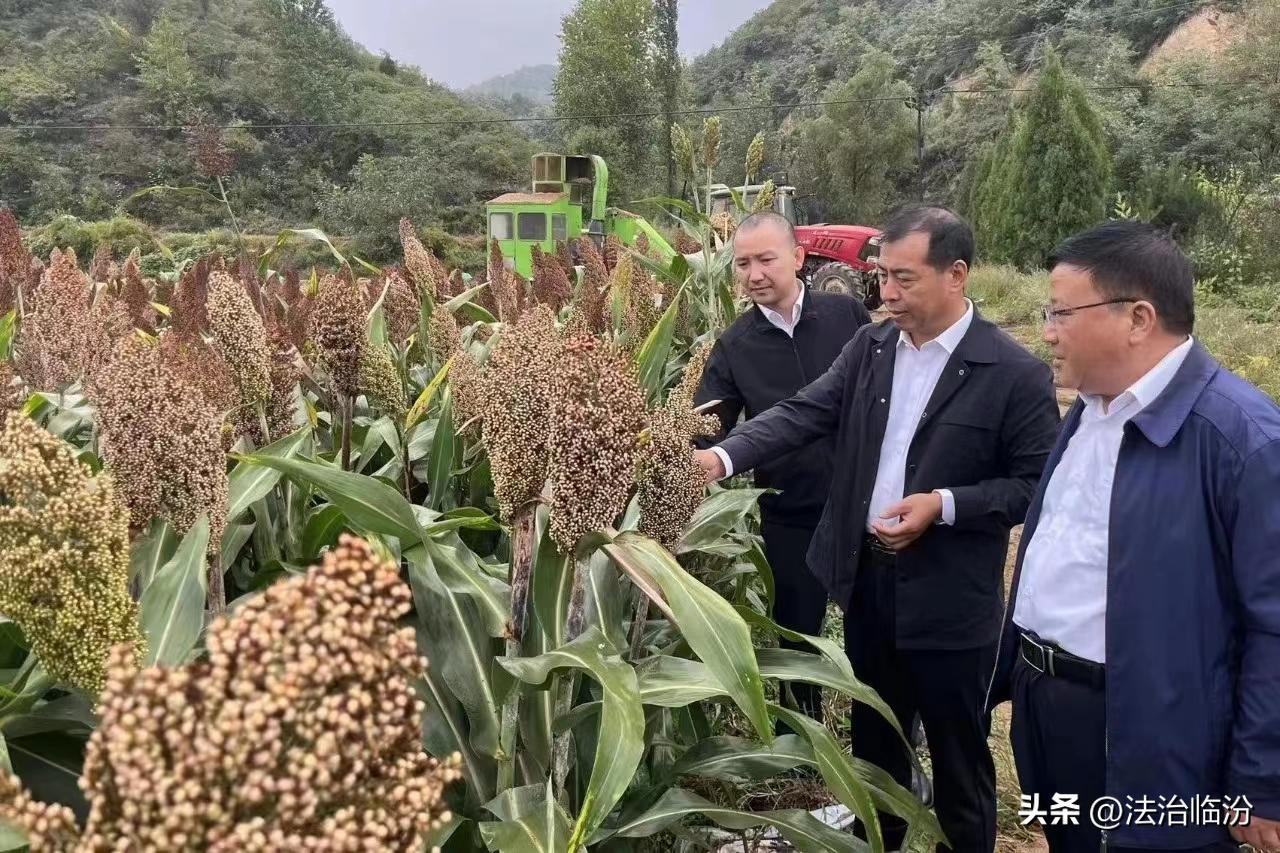 供销合作社深化综合改革经验做法,县供销社深化改革工作汇报