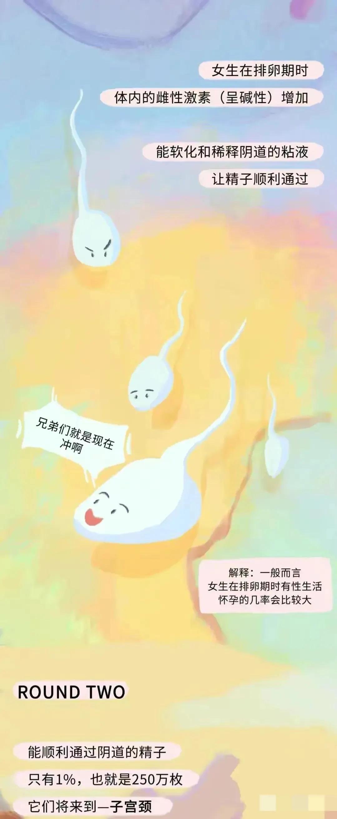 如何怀孕具体步骤图片,女人怎么怀孕的过程