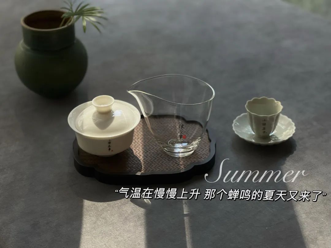 好几千买的白毫银针,怎么冲泡才不浪费?老茶客:5个细节很重要