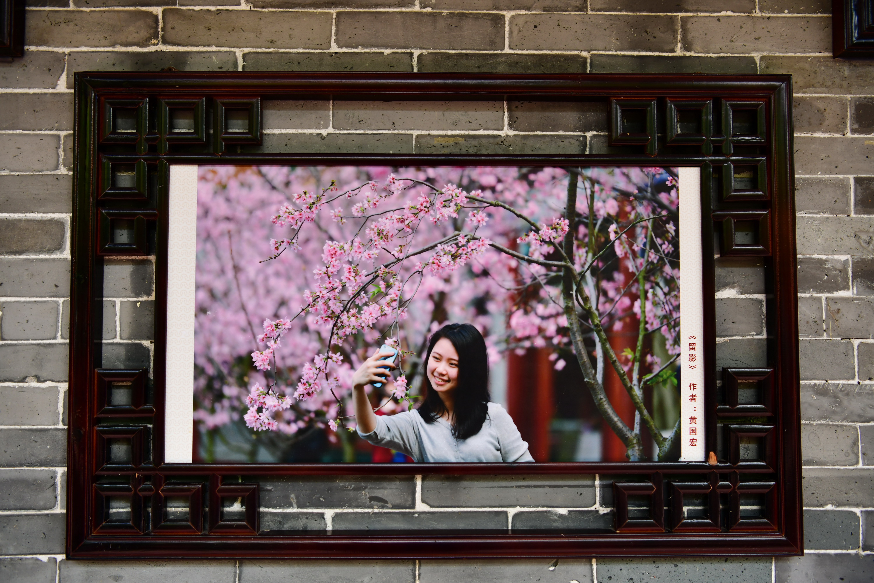 广州市番禺区宝墨园攻略,广州宝墨园景观