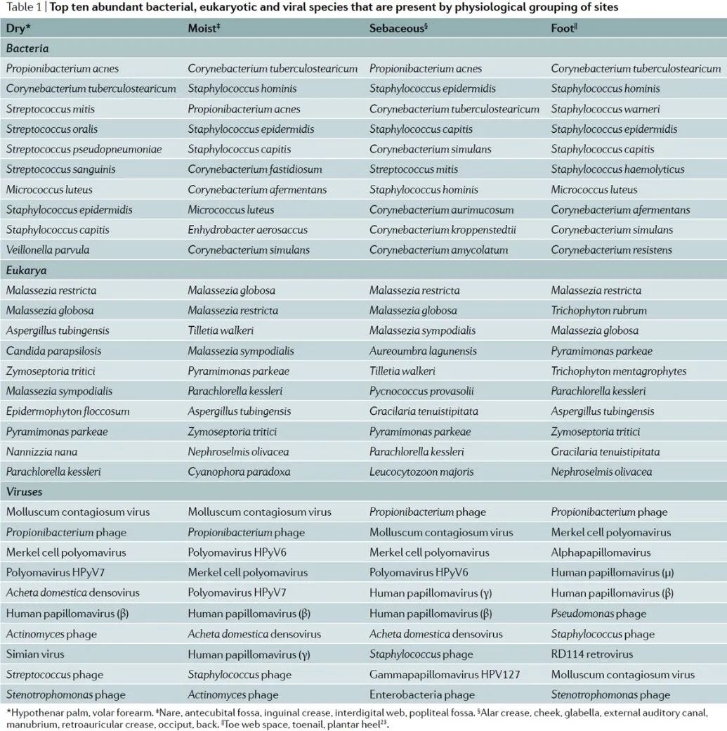 化妆品防腐剂的现状与发展,化妆品防腐剂的好处有哪些