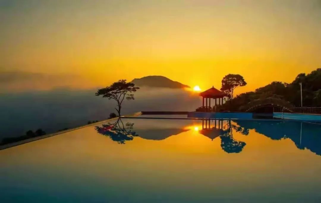 2020年灵山荔枝采摘地点,广西灵山荔枝现摘现吃