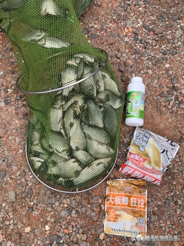 老鬼鱼饵哪款最好用,2015老鬼鱼饵配方视频