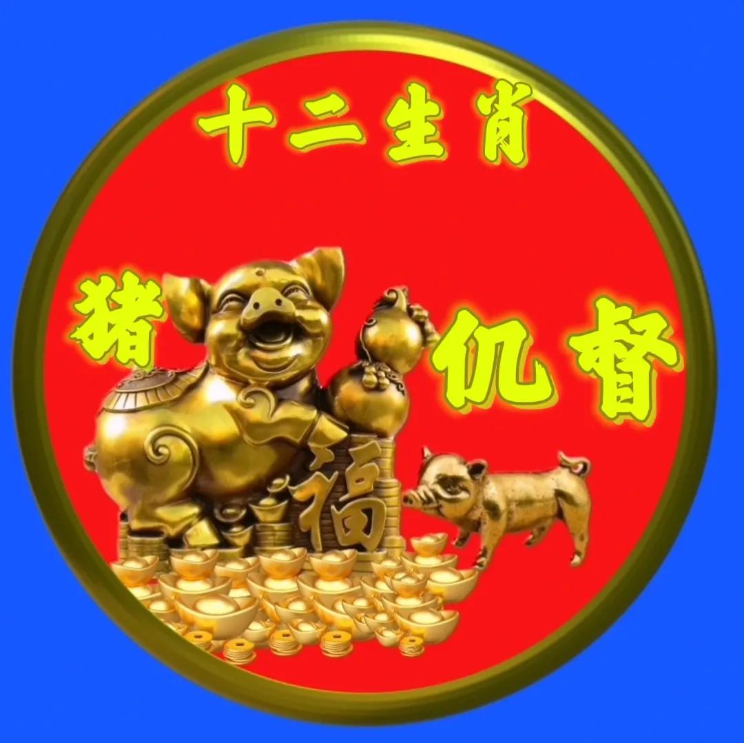 12生肖猪的姓氏头像,十二生肖猪姓氏头像壁纸