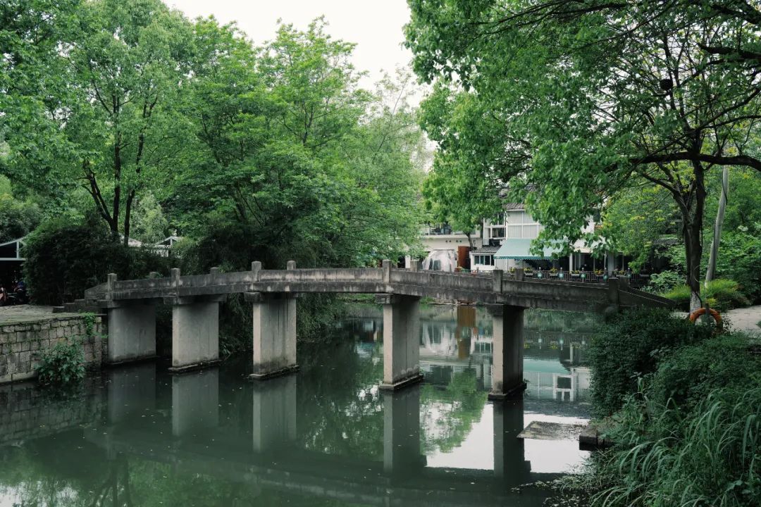 春天的潺潺溪水,春天的顶流