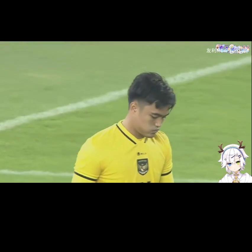 阿根廷vs印尼数据,阿根廷vs印尼中国行