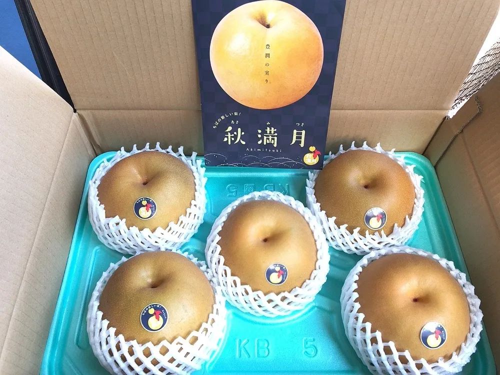 从北到南9集,从北到南看日本第一期