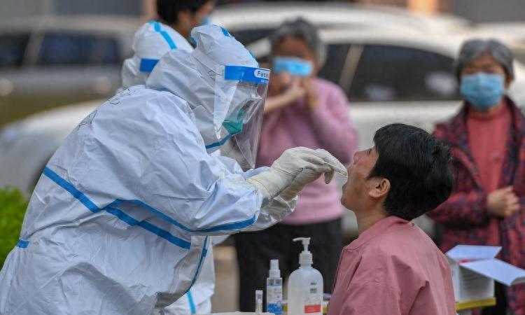 袁立所有视频大全,袁立央视记者