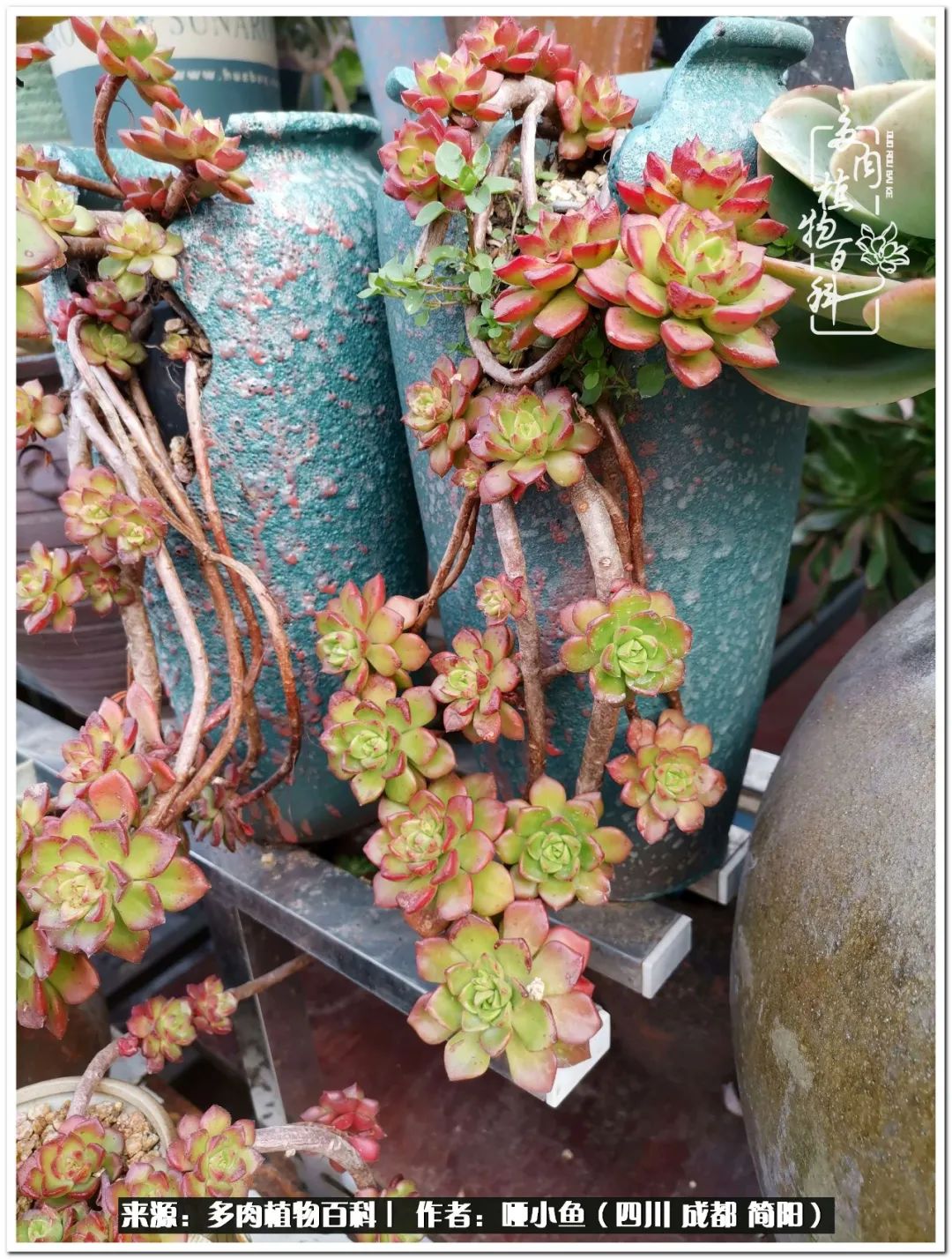 看世间繁华品一生,看世间繁华品人生美味