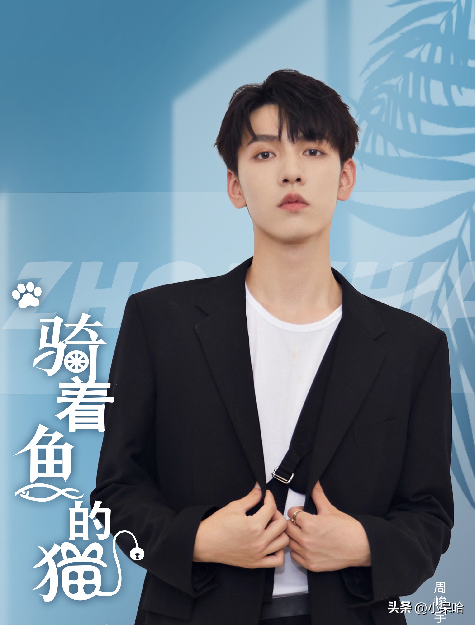 国风少女VS双面霸总，最新甜宠治愈剧《骑着鱼的猫》强势来袭！