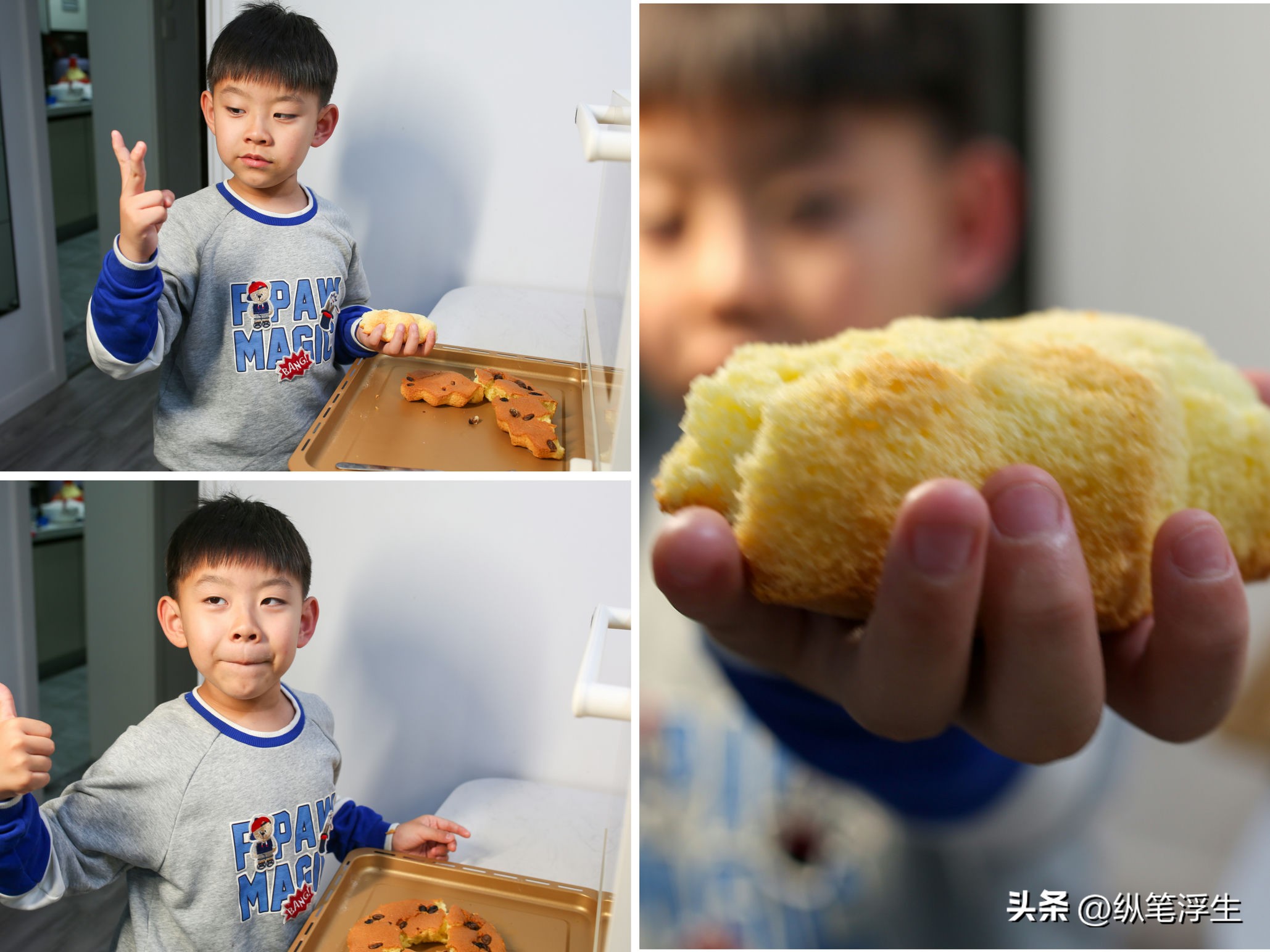 长帝厨师机发酵,揉面厨师机什么牌子的好