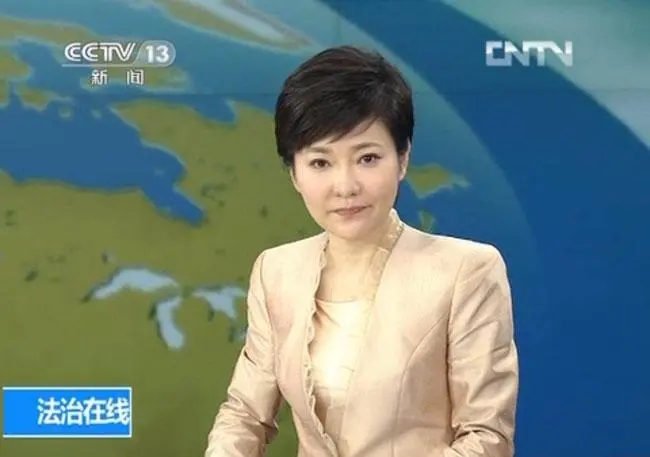 知名主持人海霞欧阳夏丹,央视欧阳夏丹海霞