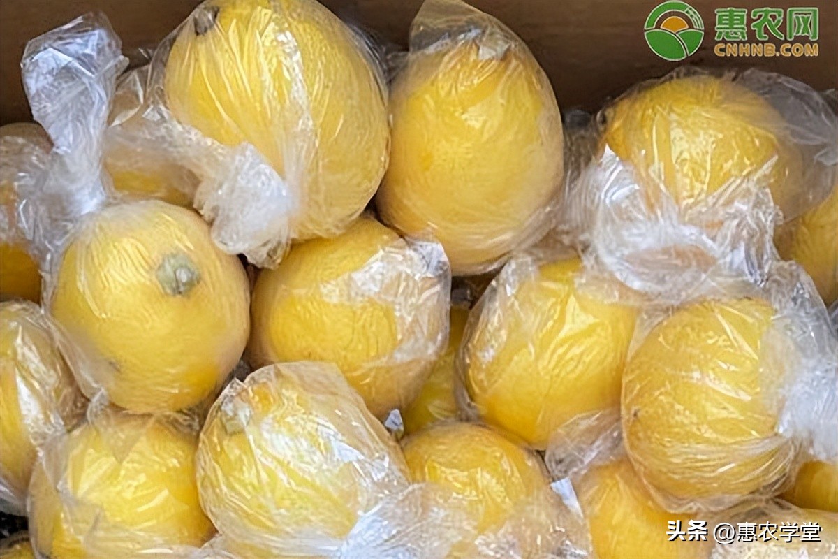 香水柠檬市场价格多少,柠檬市场价格走势