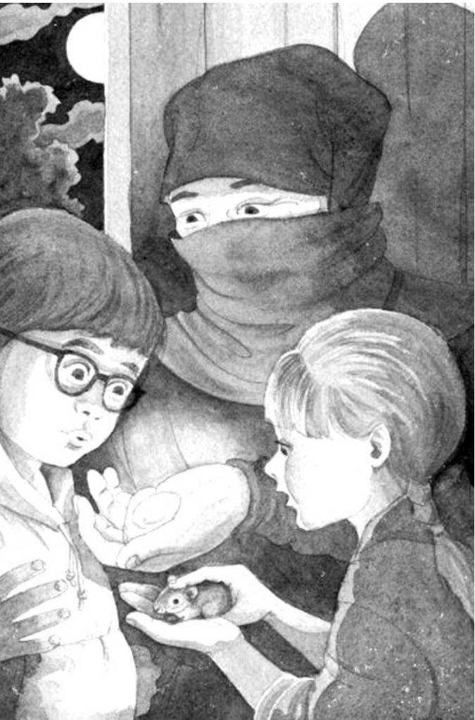 小小忍者丨神奇树屋5NightsOfTheNinjas