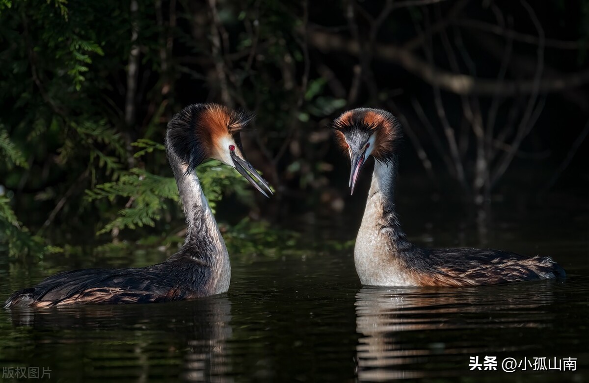 男人真正喜欢一个女人的6种表现,中年男人喜欢上年轻女孩的表现