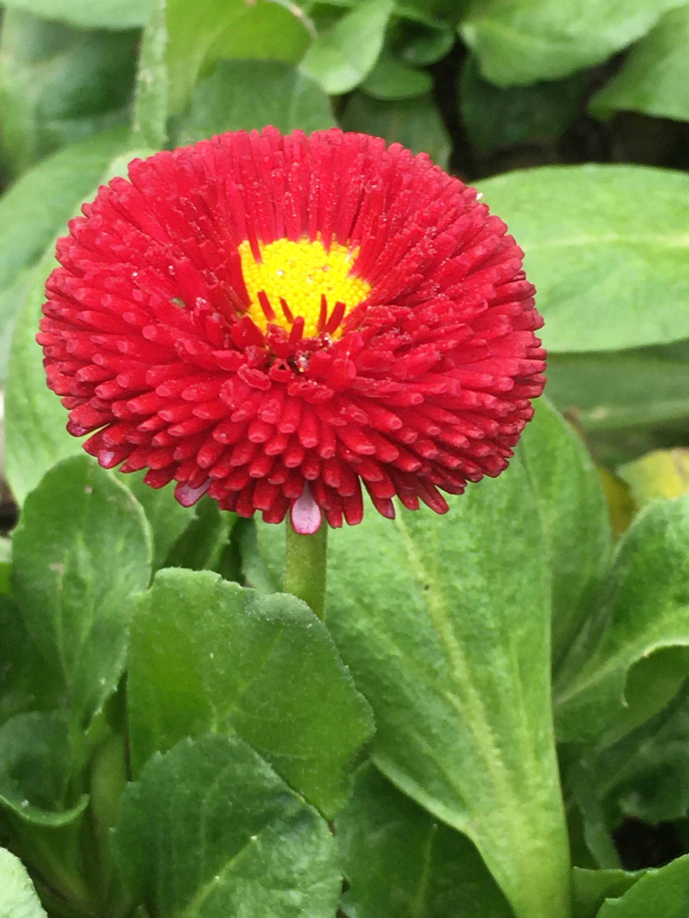 感情丰富的人适合什么工作,如何成为一个感情深沉不外露的人