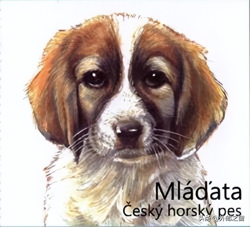 捷克斯洛伐克15周年邮票价格,捷克邮票收藏价格表