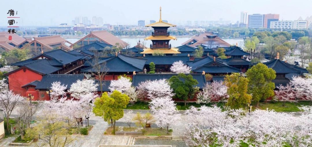 迎春消费月启动,迎春惠民消费节活动宣传